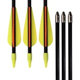 Glasvezelpijlen 12 stuks - 26 inch - 29% Korting