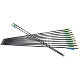 Glasvezelpijlen 12 stuks - 26 inch - 29% Korting