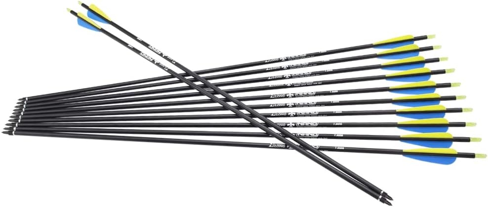 Glasvezelpijlen 12 stuks - 26 inch - 29% Korting