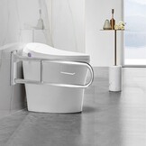 Opklapbare Toiletbeugel RVS 304 (70cm) - 34% Korting!
