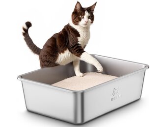 Grote Kattenbak van Roestvrij Staal, Open XXL Kattenbak, Metalen Kattenbakken voor Katten van Alle Maten en Konijnen, met Antiaanbaklaag, Geurvrij en Gemakkelijk Schoon te Maken, 60x40x20cm
