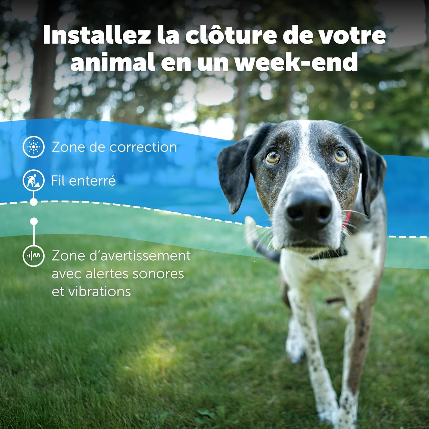 PetSafe Systeem voor Têtu/Grote Honden: Omheining met Hoge Intensiteit Statische Correctie, Geluid & Vibratie