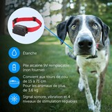 PetSafe Systeem voor Têtu/Grote Honden: Omheining met Hoge Intensiteit Statische Correctie, Geluid & Vibratie