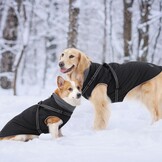 PETTOM Warme hondenjassen en jassen voor honden, waterdicht reflecterend hondenharnas vest winter hondenkleding met borstriem, wandelen buiten verstelbaar (zwart, 4XL)