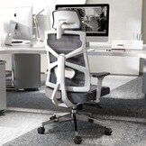 HOLLUDLE Ergonomische bureaustoel met adaptieve rugleuning, hoge rugleuning computerbureaustoel met 4D-armleuningen, verstelbare zitdiepte, lendensteun en 2D-hoofdsteun, draaibare taakstoel, wit