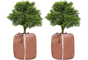 Plantbeschermhoes Winter - Dubbellaags 45x55cm - 2 Stuks