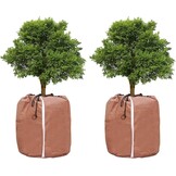 2x Plantenhoes Winter: Warm, Waterdicht, 45x55cm