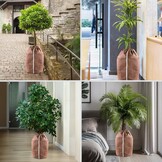 2x Plantenhoes Winter: Warm, Waterdicht, 45x55cm