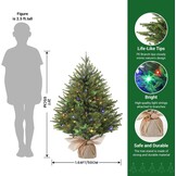 Alupssuc 2FT Kunstkerstboom met sokkel van linnen zak, perfect voor kerstdecoraties, thuis, groen