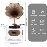 Zwarte retro platenspeler, platenspeler met bluetooth, fonograaf, FM-radio, bediening via afstandsbediening