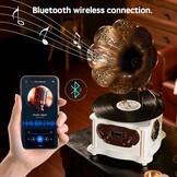 Zwarte retro platenspeler, platenspeler met bluetooth, fonograaf, FM-radio, bediening via afstandsbediening