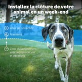 Extra Ontvangstband Hond | Waterdicht & 4 Correctieniveaus | 29% Korting