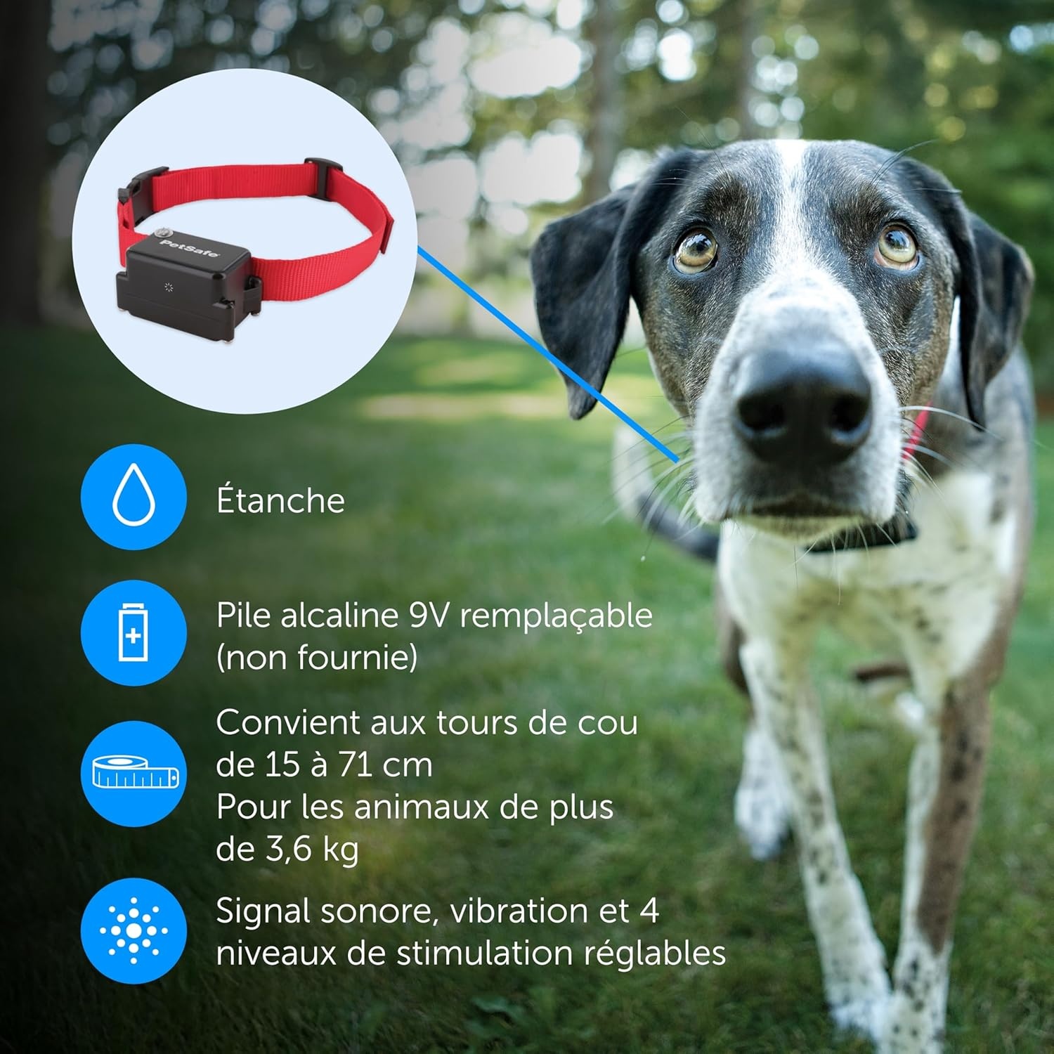 Extra Ontvangstband Hond | Waterdicht & 4 Correctieniveaus | 29% Korting