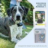 Extra Ontvangstband Hond | Waterdicht & 4 Correctieniveaus | 29% Korting