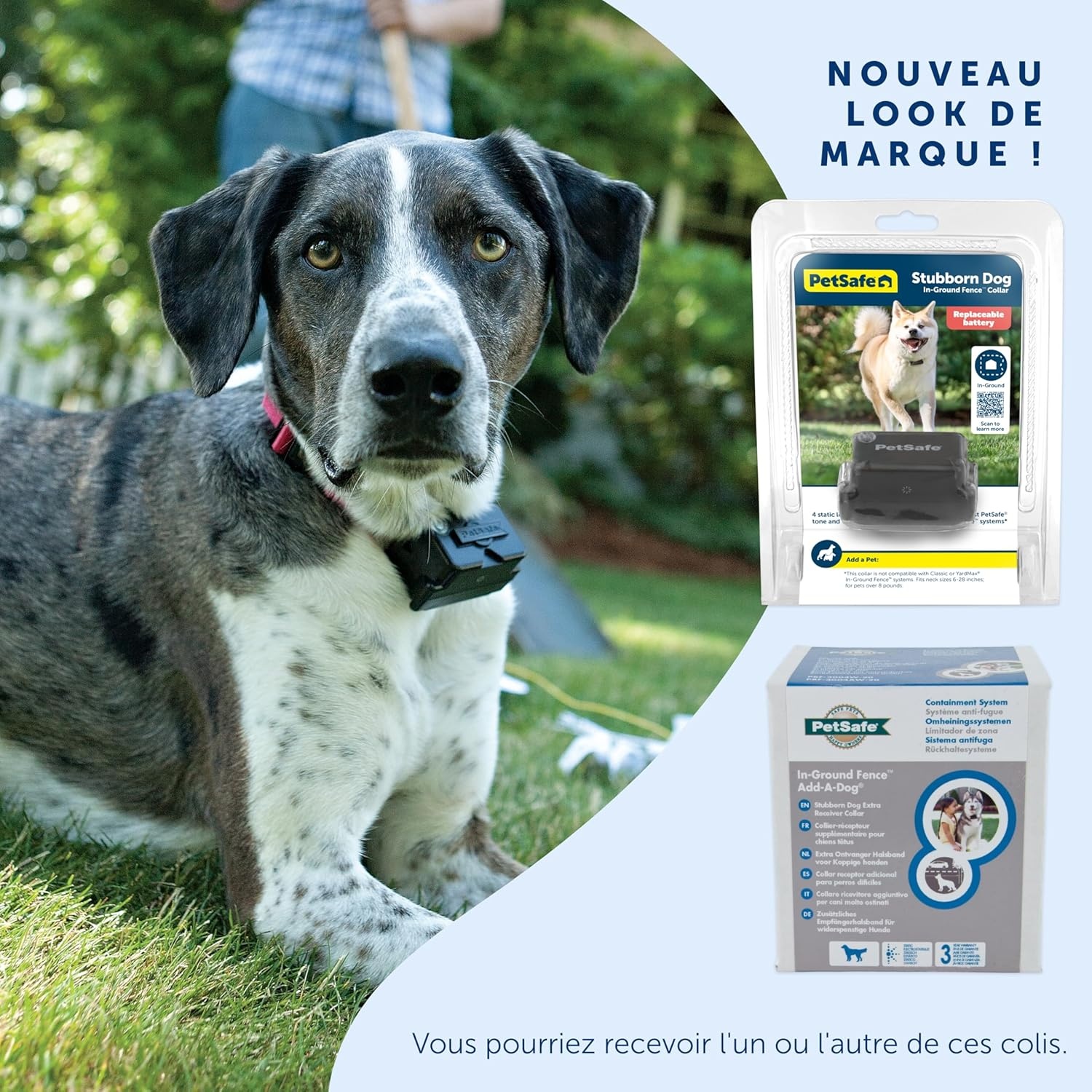 Extra Ontvangstband Hond | Waterdicht & 4 Correctieniveaus | 29% Korting