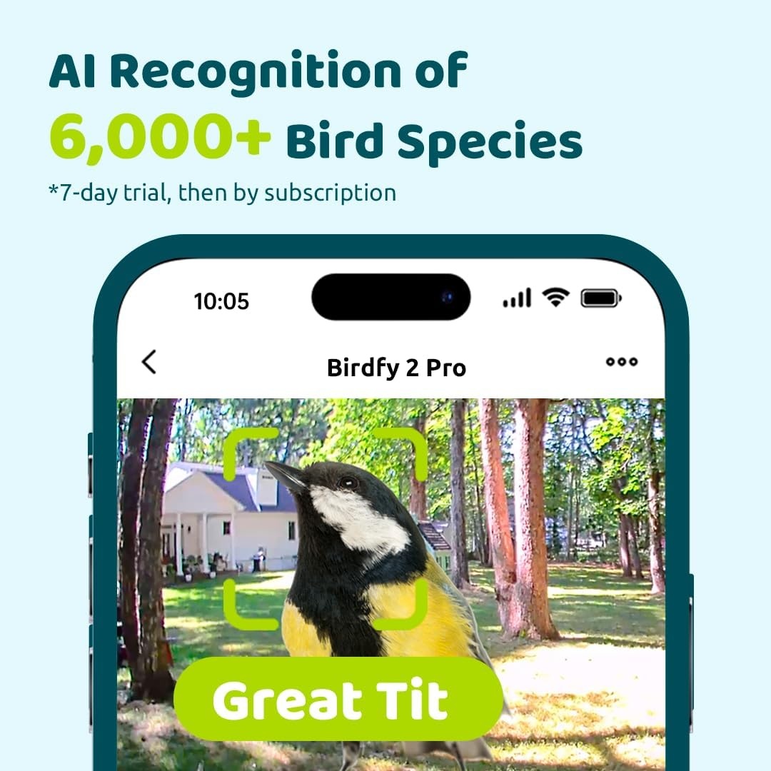 Birdfy Vogelvoederhuis met camera voor vogelobservatie