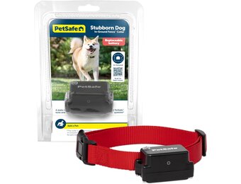 PetSafe Extra Ontvangstband voor Onstuimige Honden - Waterdicht, Batterijgevoed en Verstelbaar