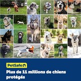 PetSafe Extra Ontvangstband voor Onstuimige Honden - Waterdicht, Batterijgevoed en Verstelbaar