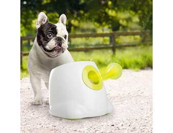 Automatische Hond Balwerper - Interactief Speelgoed met 3 Mini Ballen (34% Korting)