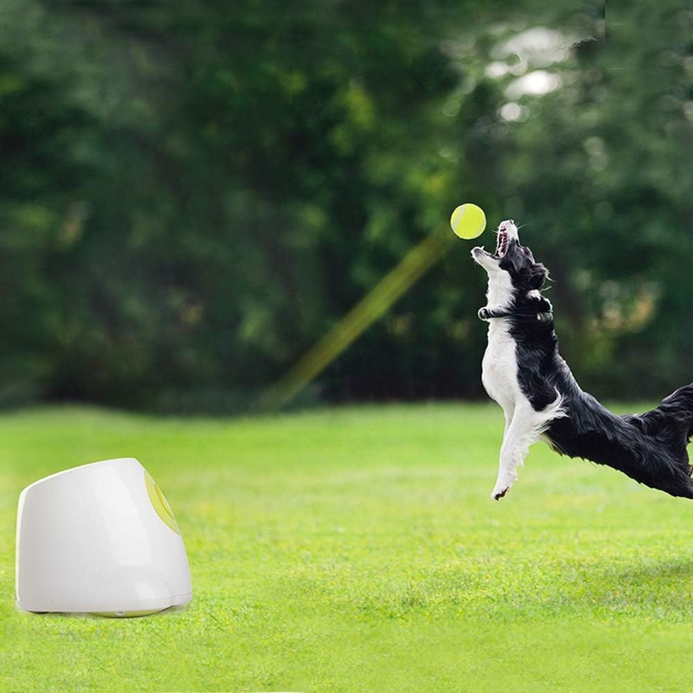 Automatische Hond Balwerper - Interactief Speelgoed met 3 Mini Ballen (34% Korting)