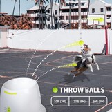 Automatische Hond Balwerper - Interactief Speelgoed met 3 Mini Ballen (34% Korting)