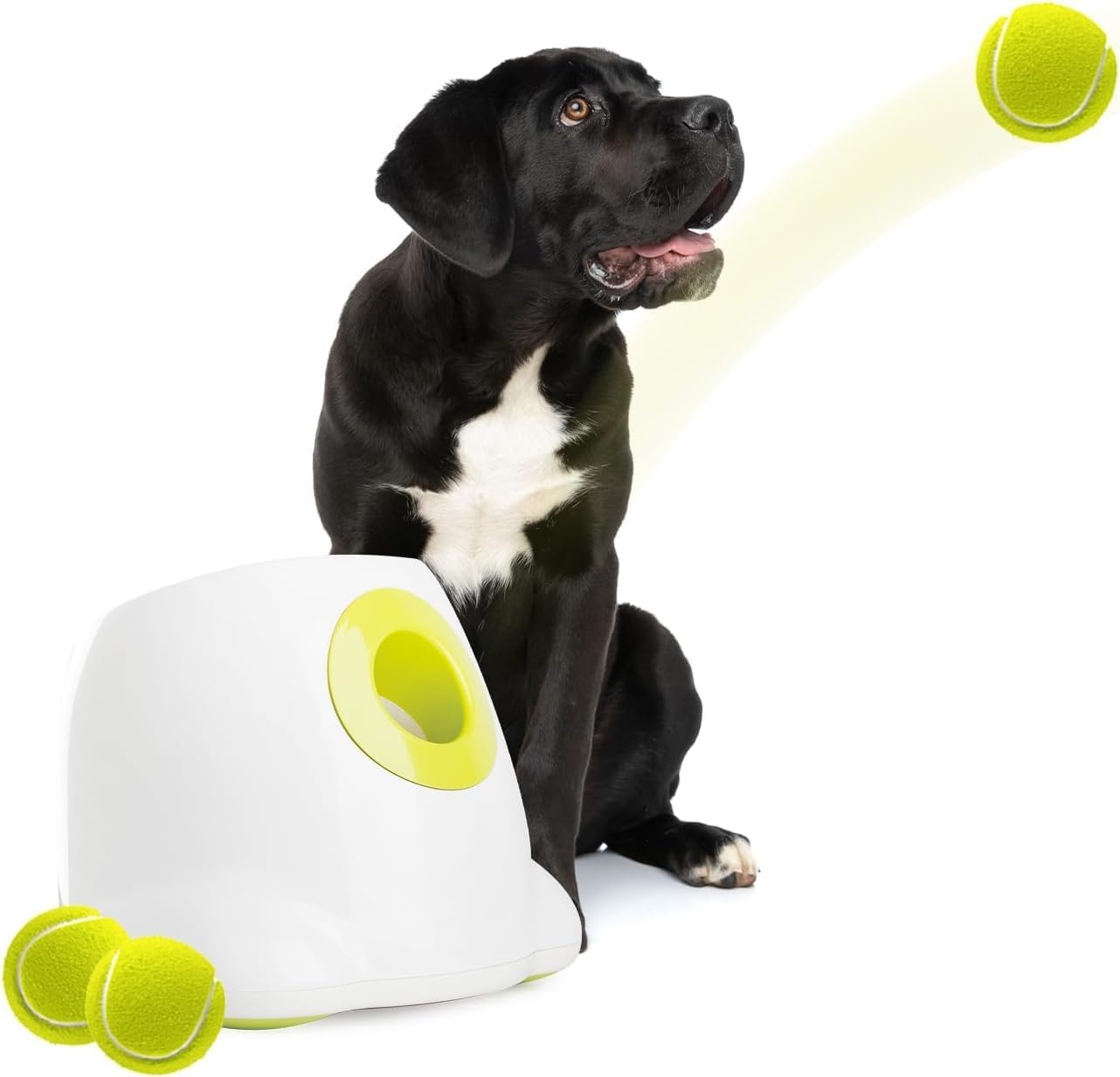 Automatische Hond Balwerper - Interactief Speelgoed met 3 Mini Ballen (34% Korting)