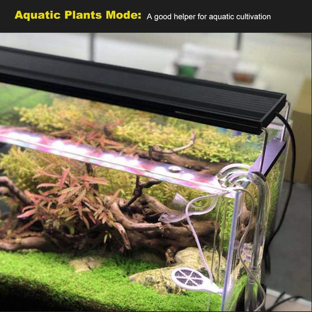 Aquarium Algen Sterilisator 34% Korting