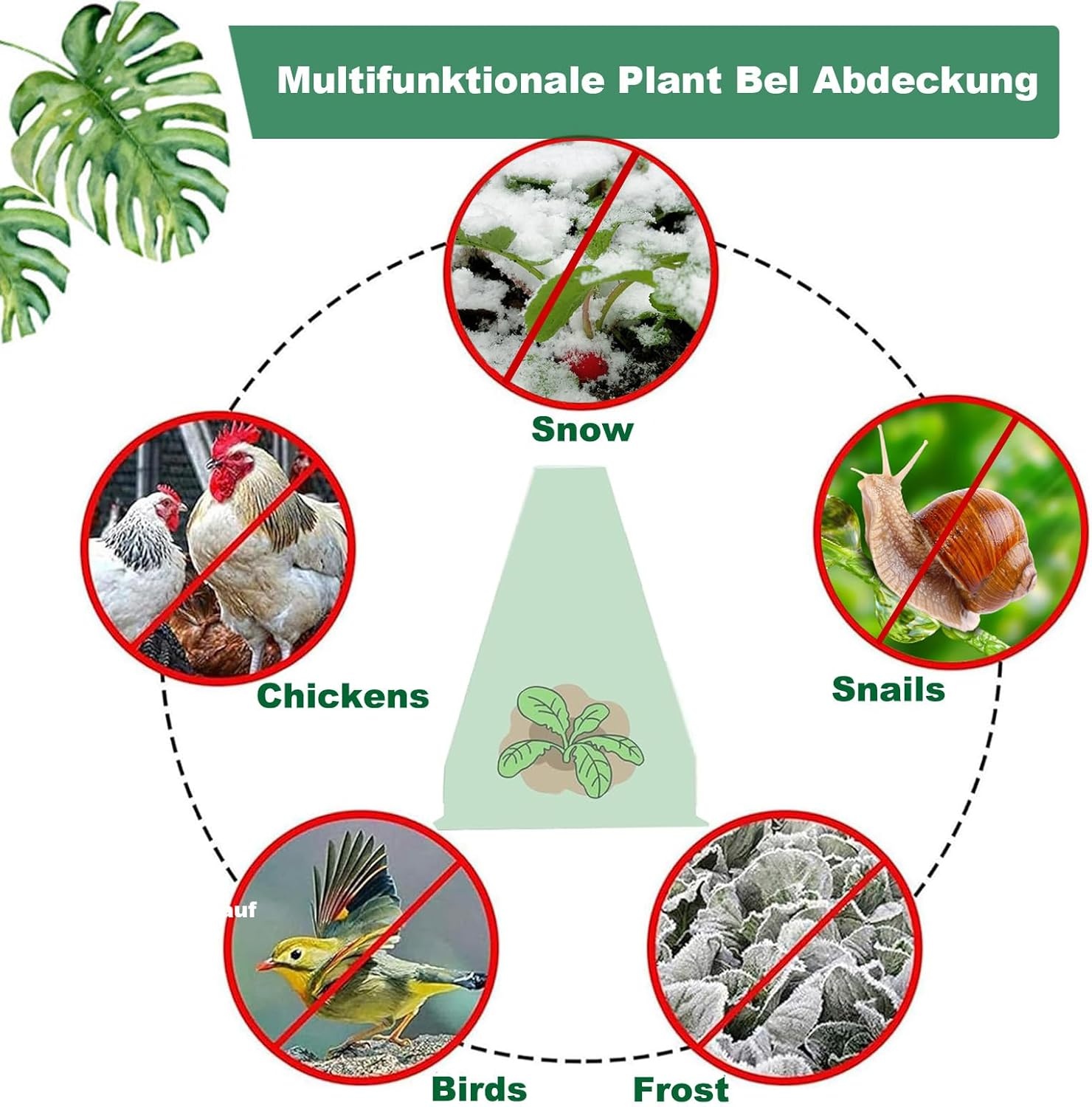 20x Kunststof Plantenbeschermers (20cm) - Tegen Vorst & Ongedierte