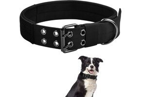 Tactische Hondenhalsband XL Zacht & Ademend - 25% Korting