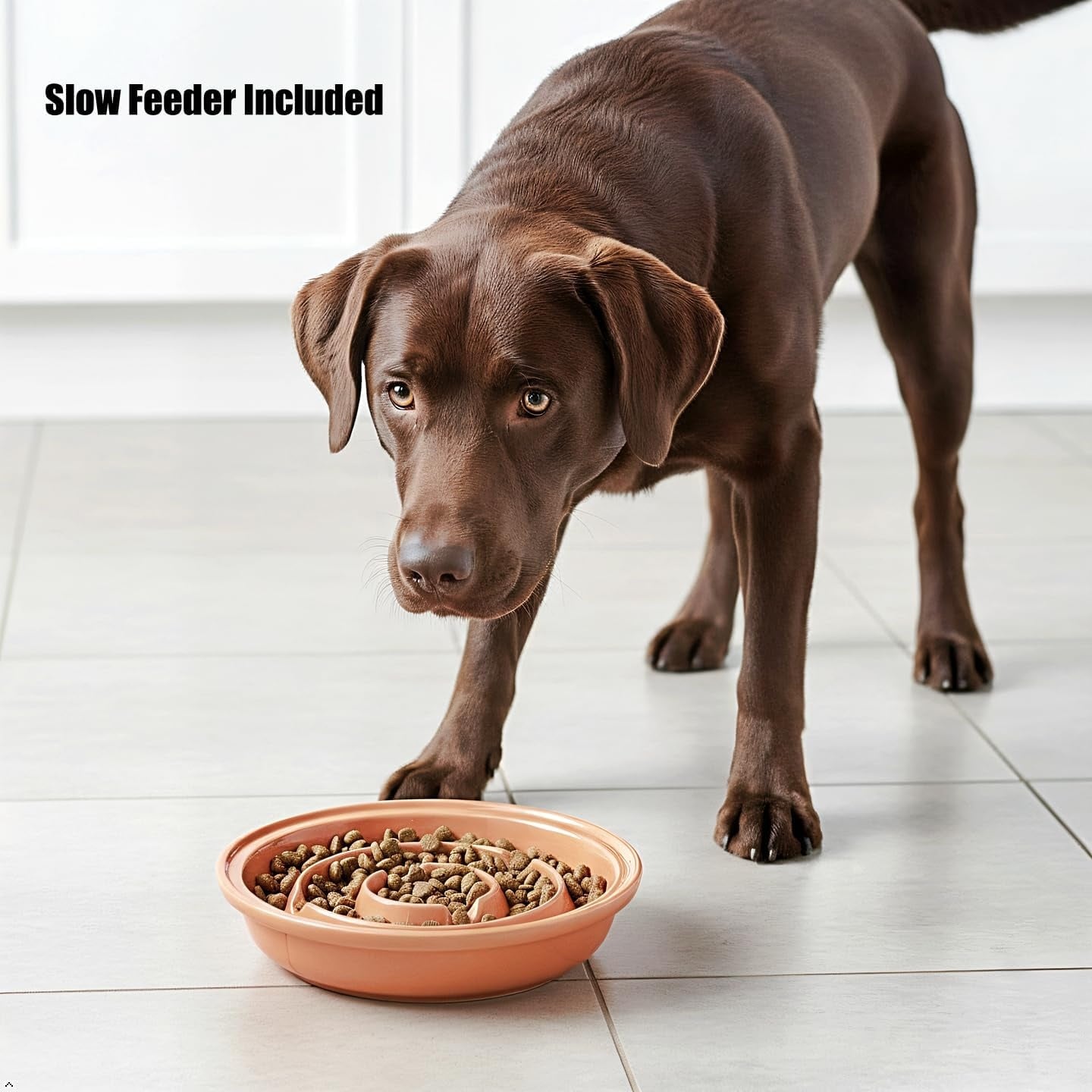 Dubbele Verhoogde Voerbak Honden Large - Aardewerk - Almond - 34% Korting