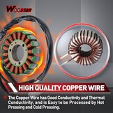 Magneto Stator Yamaha YFM250/YFM660R 2001-2011 | 29% Korting