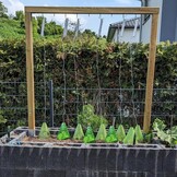 20x Plantenafdekking Tuinklokken - Kunststof, Vorst- & Slakkenbescherming (22cm)