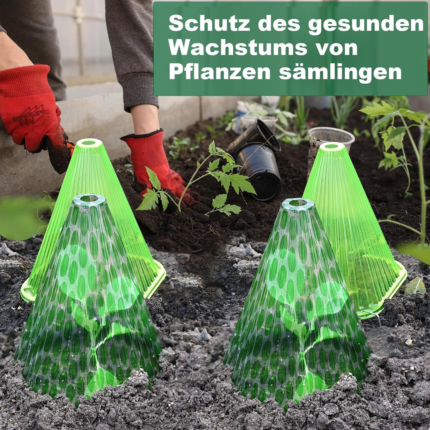 20x Herbruikbare Plantenafdekking Transparant | Zon, Vorst, Ongediertebescherming | 22 x 19,5 cm