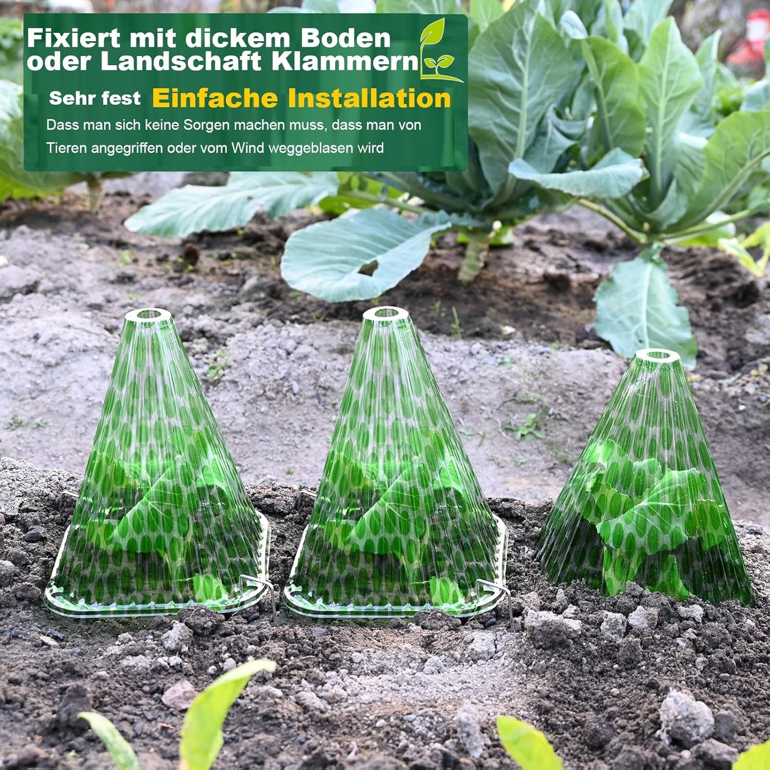 20x Herbruikbare Plantenafdekking Transparant | Zon, Vorst, Ongediertebescherming | 22 x 19,5 cm