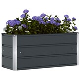 Plantenbak Staal Antraciet 100x40x45 cm - 33% Korting
