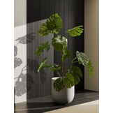 Grote Keramische Plantenpot Grijs 30 cm | Binnen & Buiten | 34% Korting