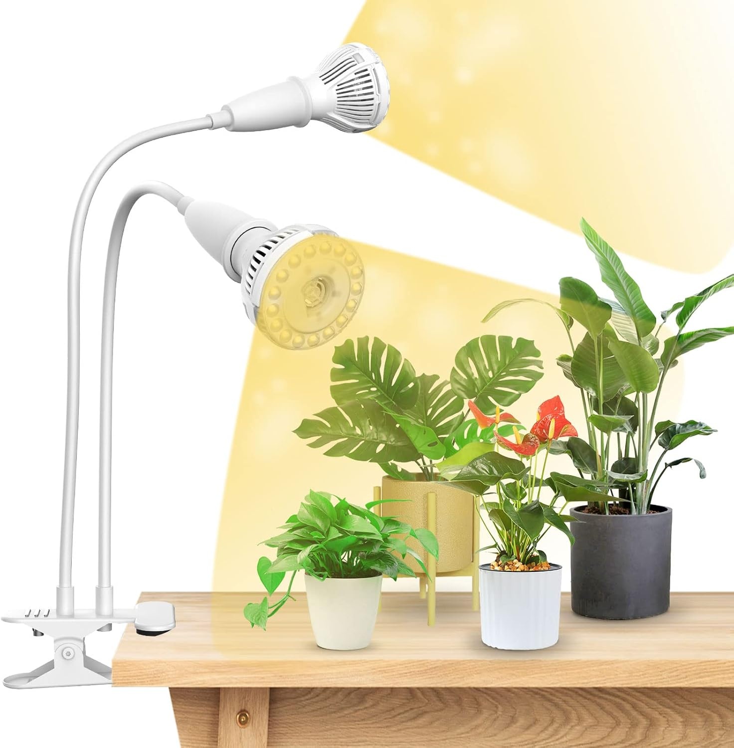LED Groeilamp 40W Volledig Spectrum met Timer - 34% Korting
