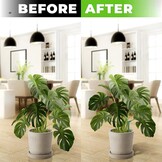 6x Metalen Plantensteunen Halfrond (25x60 cm) - Groen