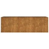 Cortenstaal Plantenbak Verhoogd 120x40x40 cm - 54% Korting!