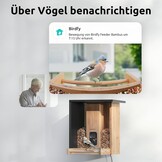 Bamboe Vogelvoederhuis met Camera (54% Korting)