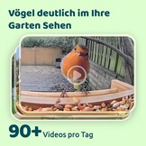 Bamboe Vogelvoederhuis met Camera (54% Korting)