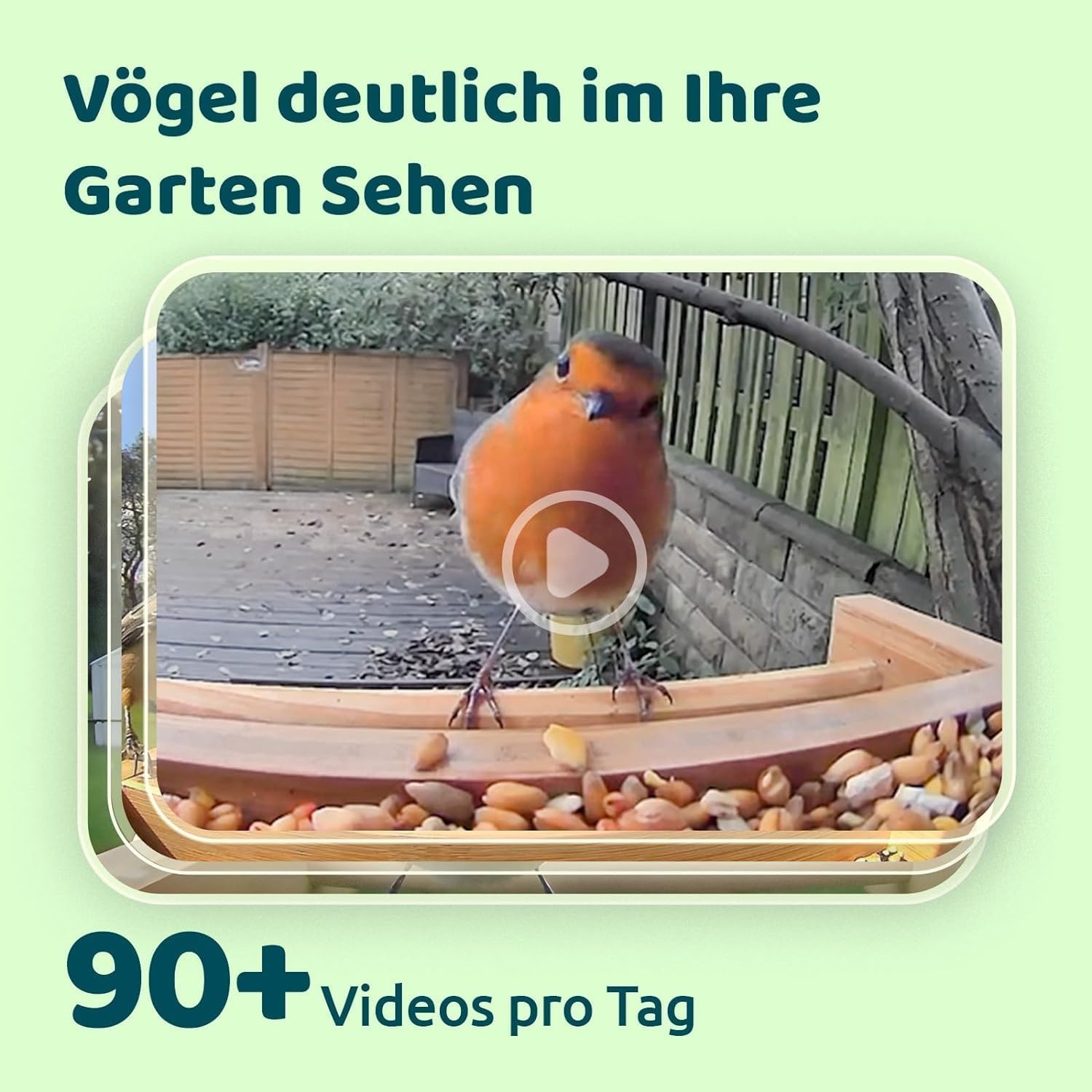 Bamboe Vogelvoederhuis met Camera (54% Korting)
