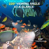 Onderwater Camera Visvinder met 5" IPS Display & Nachtzicht - 54% Korting