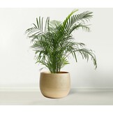 Handgemaakte Keramische Plantenpot Goud 25cm Barcelona - 34% Korting
