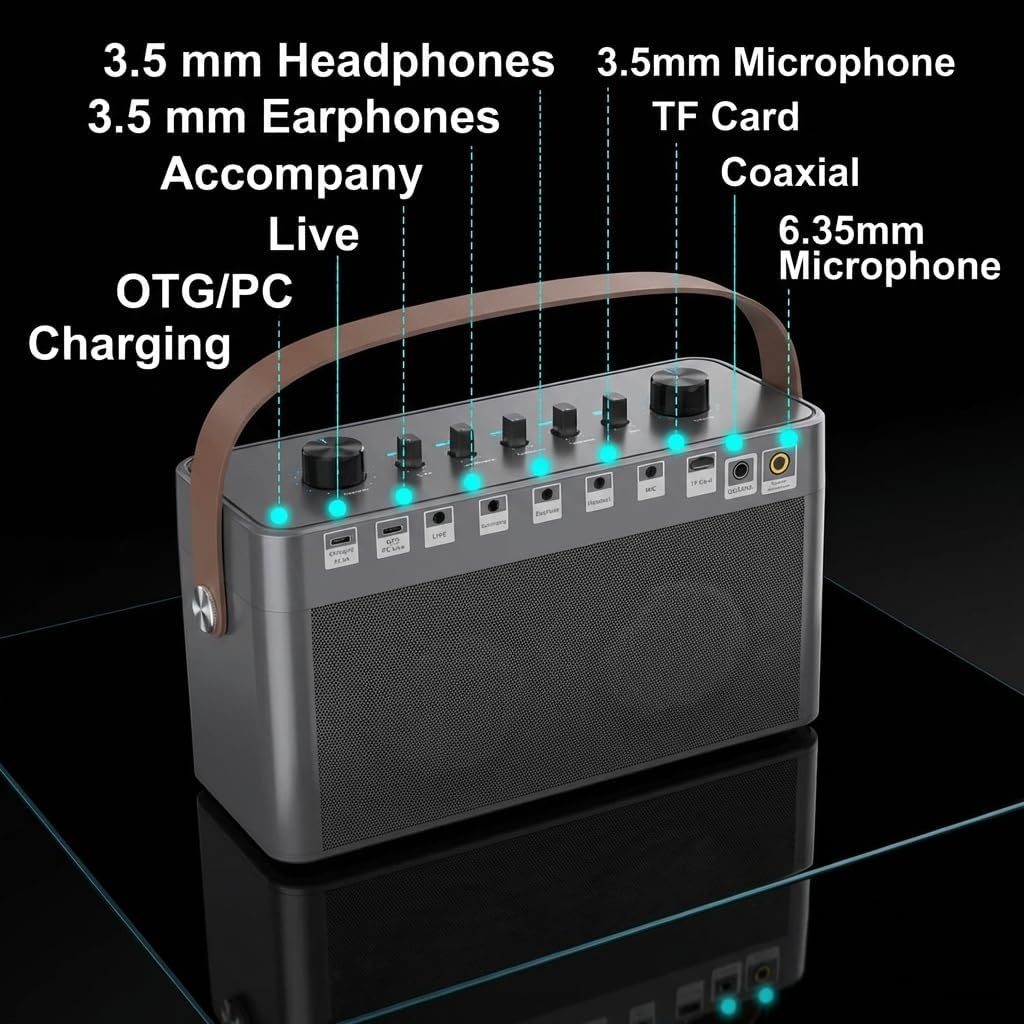 Draagbare Karaoke Luidspreker met 2 Microfoons - 30% Korting