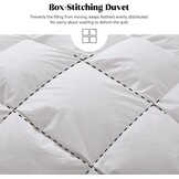 4-Seizoenen Dons Dekbed 200x200cm - 33% Korting