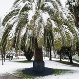 Winter Plantenafdekking 2 stuks 80x100cm met Ritssluiting - 72% Korting