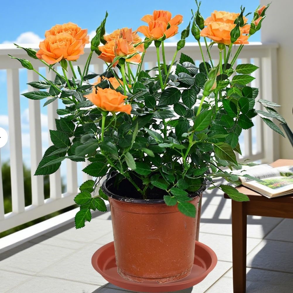 16x Terracotta Plantenonderzetters - 4 Maten - Waterdicht