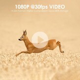 Wildcamera 48MP Nachtzicht WiFi Bluetooth - 29% Korting