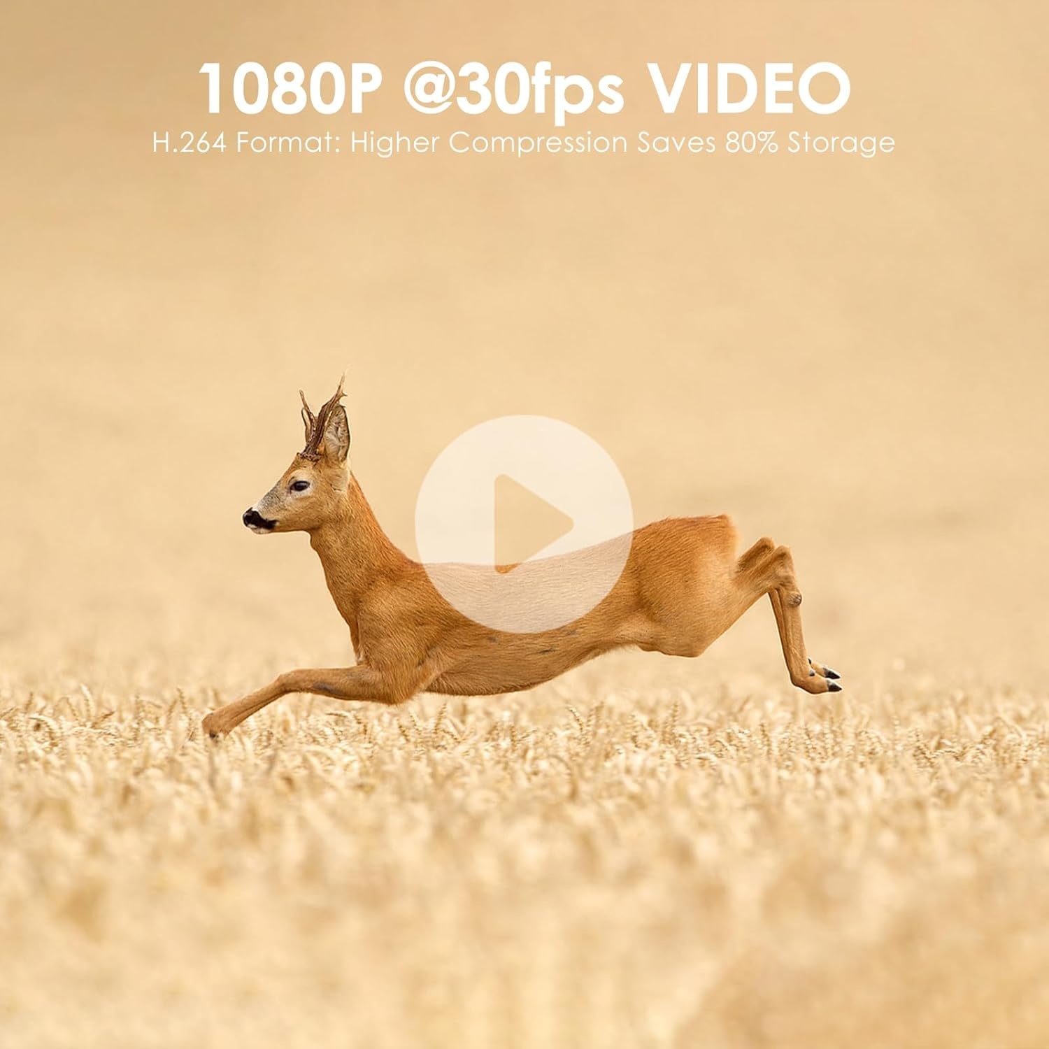 Wildcamera 48MP Nachtzicht WiFi Bluetooth - 29% Korting